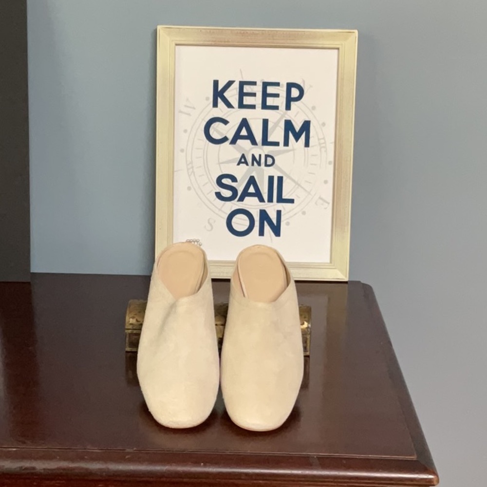 Everlane Suede Mules